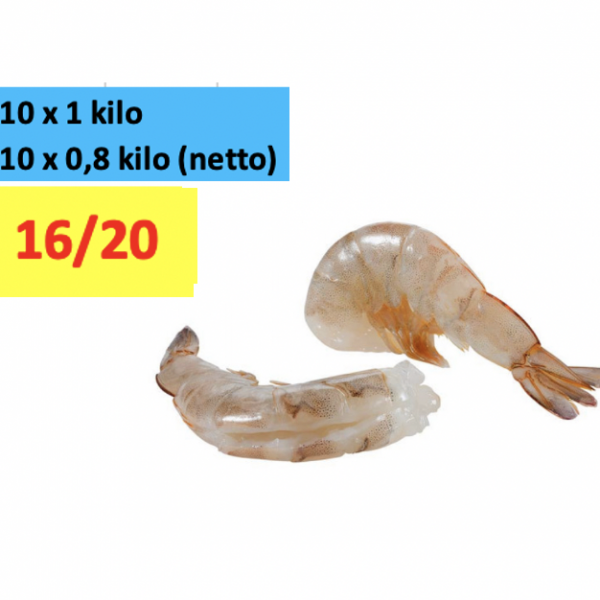 10 x 1 kilo VANNAMEI 16/20 EASY PEEL FC 80%. ( netto 10 x 800 gram ) Lithopenaeus vanamei