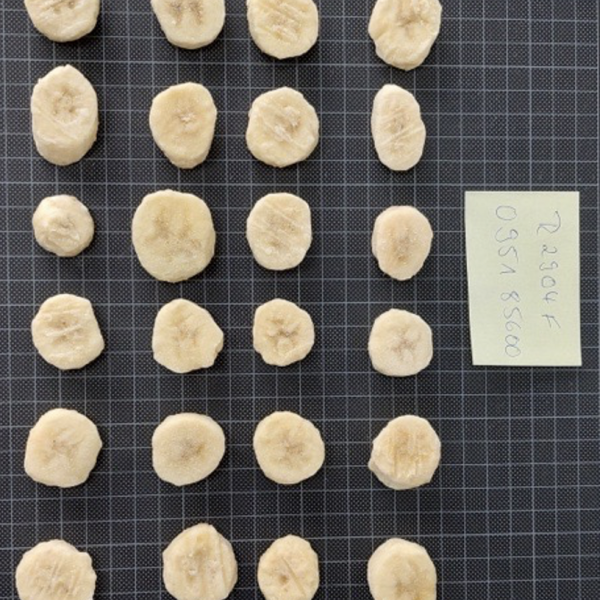 10 Kilo Bananen Schijfjes Los Ingevroren - Afbeelding 7