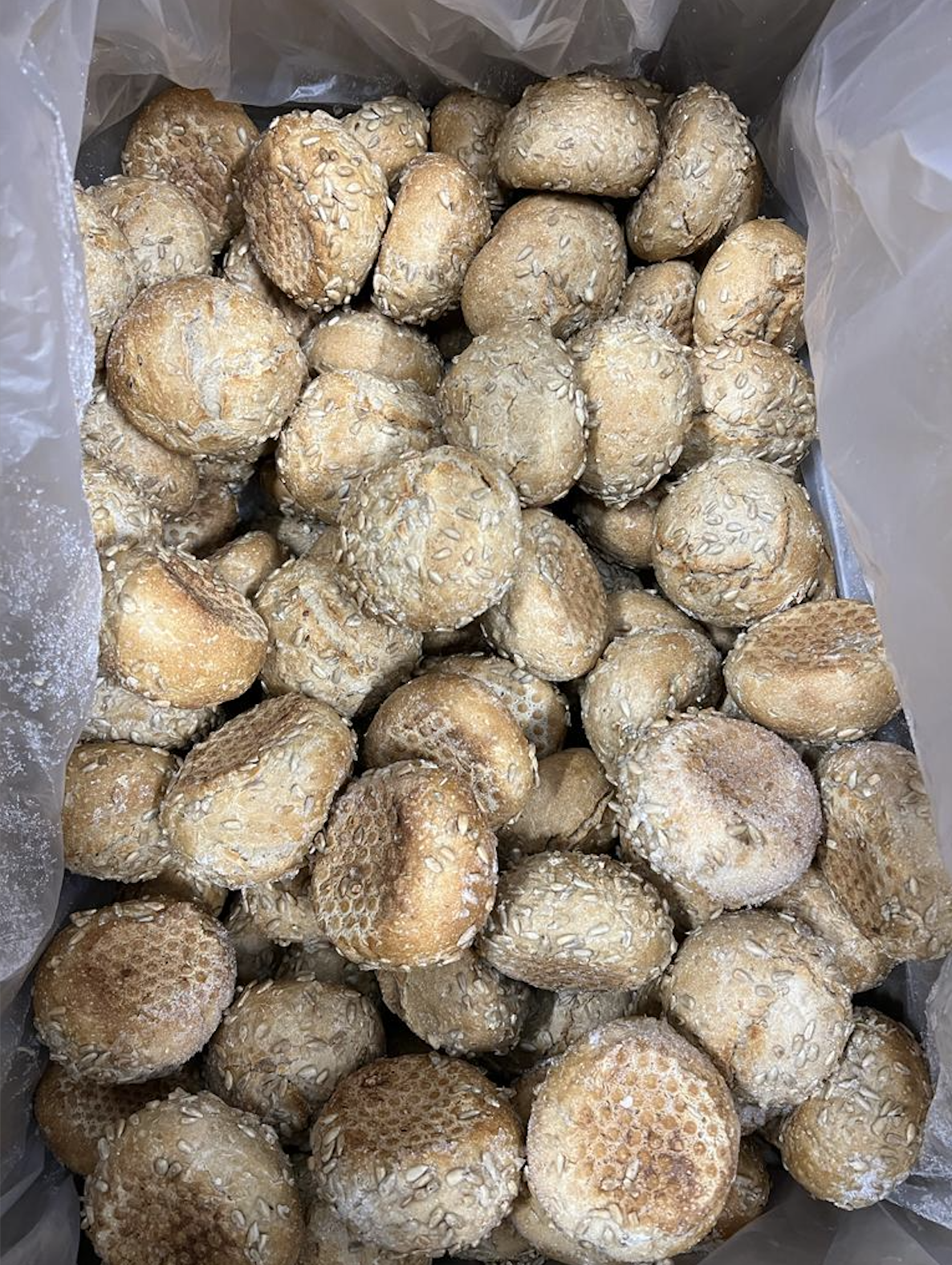 Zonnenbloem pitten broodjes 120 x 55 gram