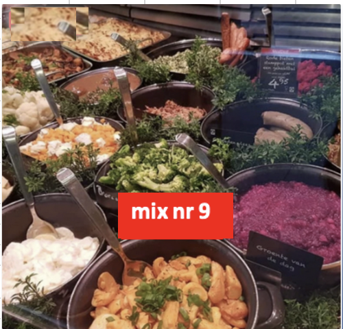 maaltijden 12 stuks (6 soorten x 2 a540 gram per stuk ) zie omschrijving mix nr 9