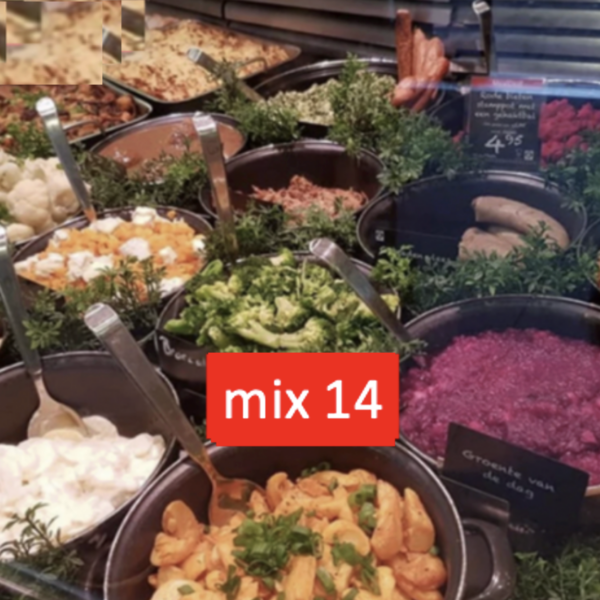 maaltijden 12 stuks (6 soorten x 2 a540 gram per stuk ) zie omschrijving mix nr 14