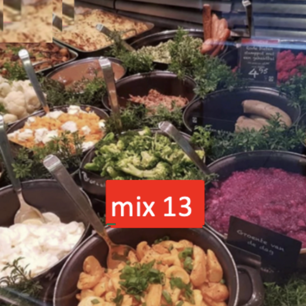 maaltijden 12 stuks (6 soorten x 2 a540 gram per stuk ) zie omschrijving mix nr 13