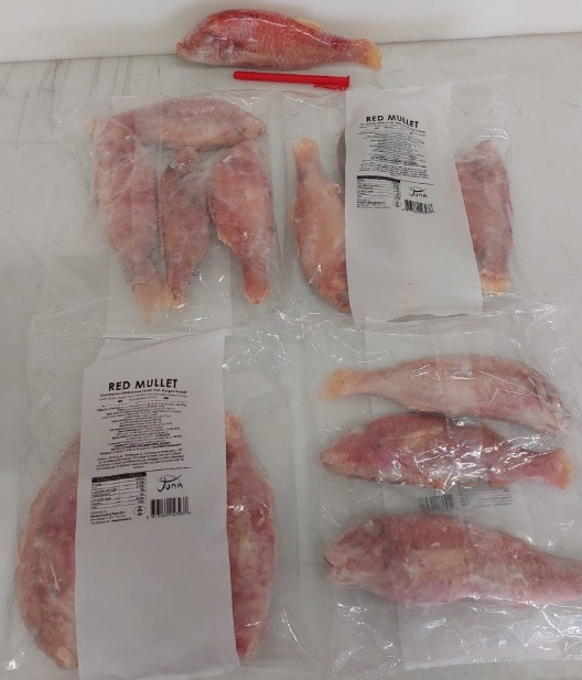 Indische rode mullet 10 kilo