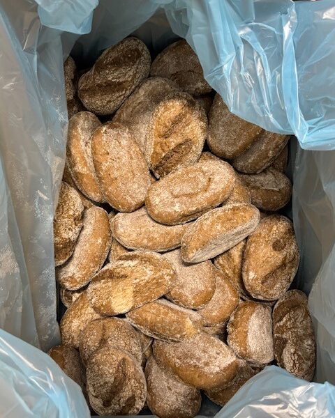 Boerenbroodje – 60x100 gram - Afbeelding 2