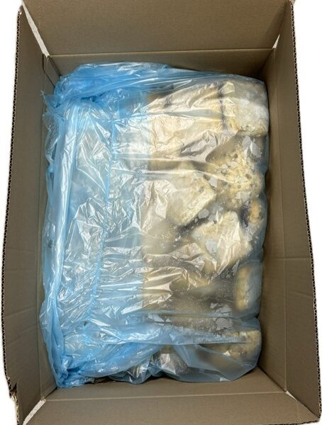 Pompoenpitbroodjes – 88x85 gram 2 Pompoenpitbroodjes – 88x85 gram - Afbeelding 2