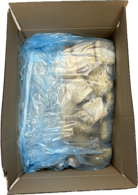 Pompoenpitbroodjes – 88x85 gram Pompoenpitbroodjes – 88x85 gram