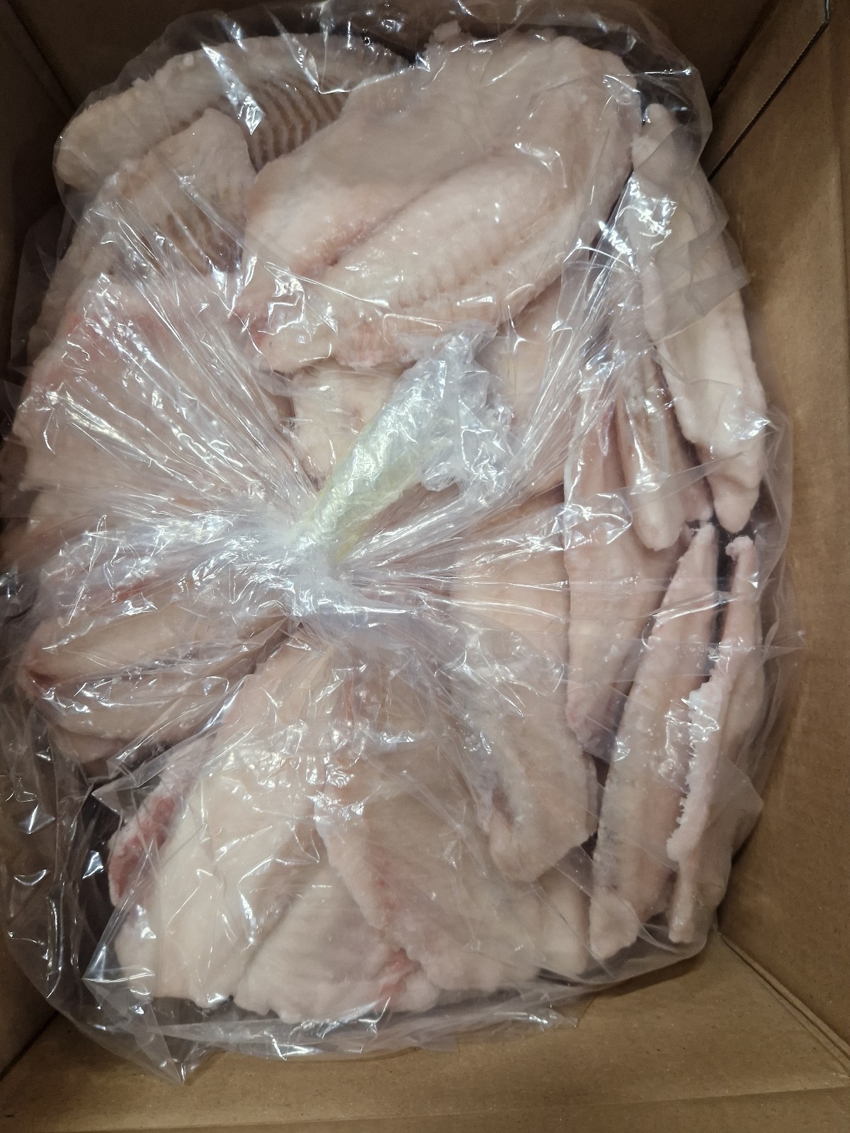 Tilapiafilet HL 160-180g IQF 5kg 10% water Tilapiafilet HL 160-180g IQF 5kg 10% water