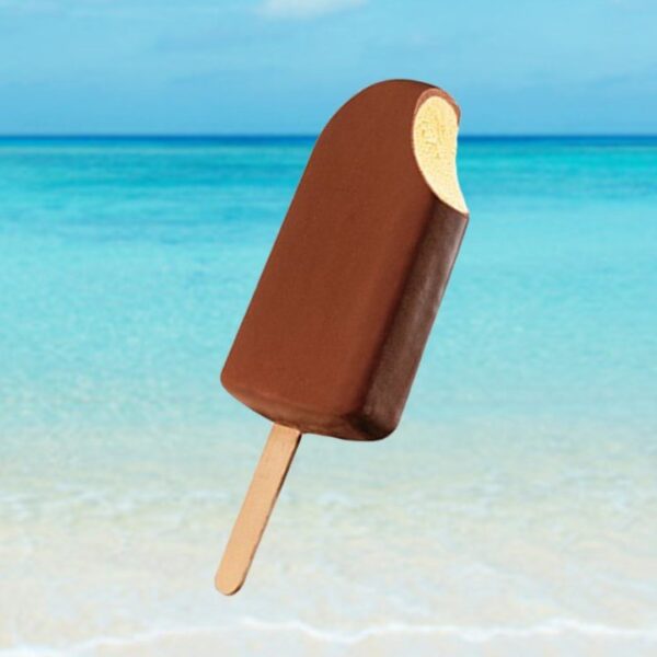 Roomijs met chocolade 24 stuks  "de Diepvriesman"