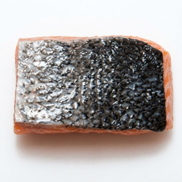 Noorse zalmporties met huid - 4kg netto (5kg bruto)