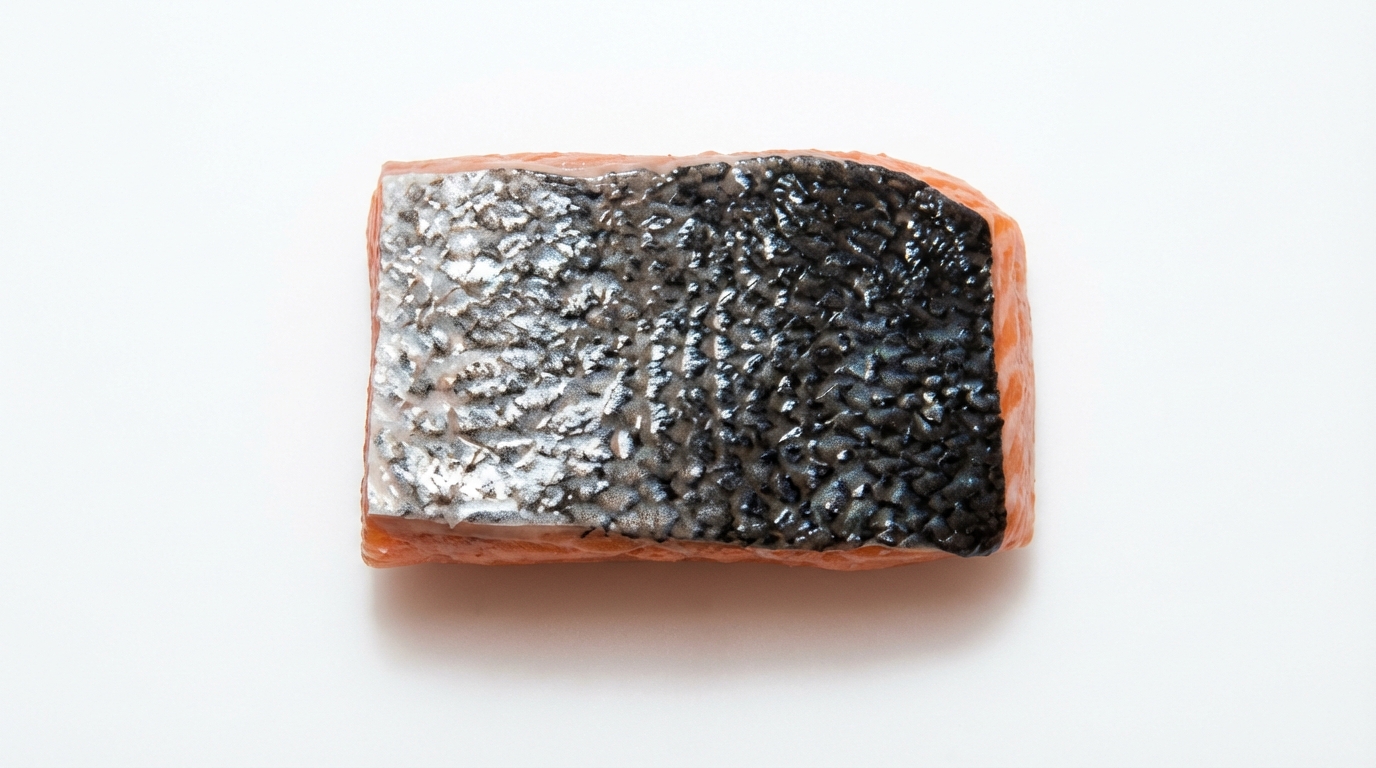 Noorse Zalmporties met huid 4kg