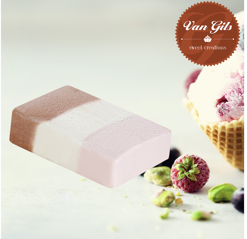 Roomijsblok Expo Trio Vanille, Aardbei en Chocolade — 18 x 110 ml