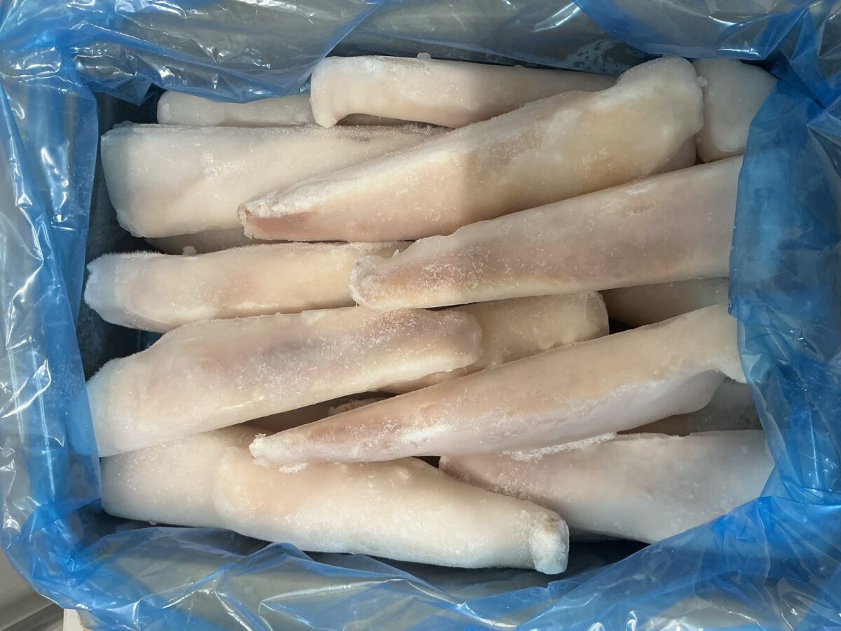 Zeeduivelfilets 5 kg. (vis) 80%, water 20% (losgevroren)