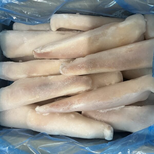 Zeeduivelfilets 5 kg. (vis) 80%, water 20% (losgevroren)